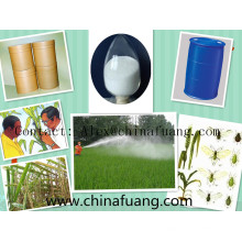 Produits chimiques agricoles Insecticide Pesticide Temephos 1% Sg Larves Tuer le Larvicide